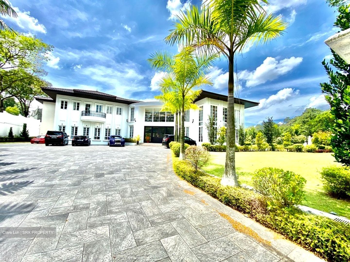 Tanglin Hill (D10), Detached #477763491